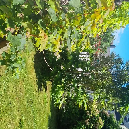 Privee Dans Maison Au Quartier Calme Проживание в семье Брест