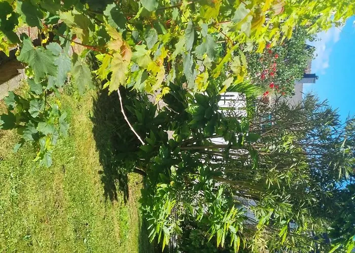 Privee Dans Maison Au Quartier Calme Проживание в семье Брест